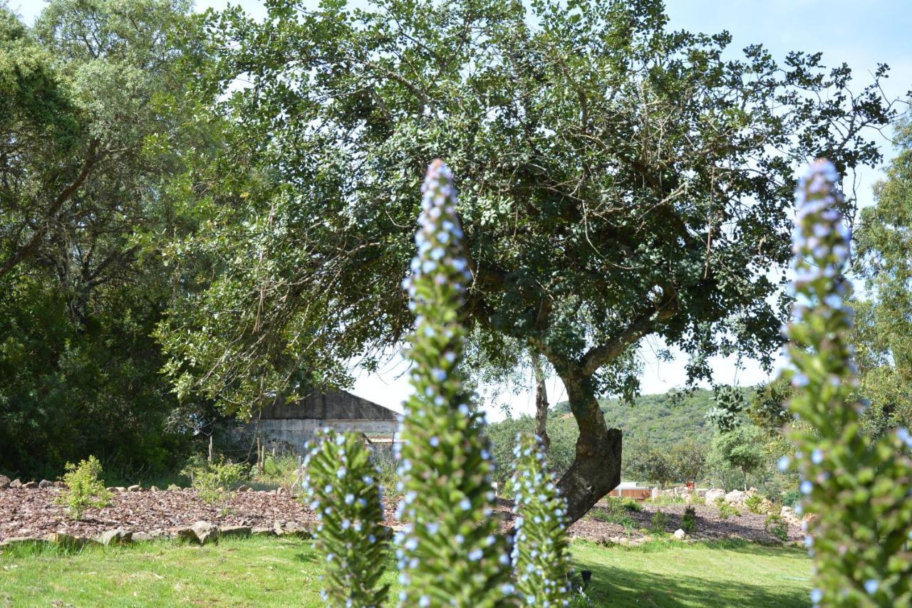 Quinta Do Freixo Villa Benafim Eksteriør billede