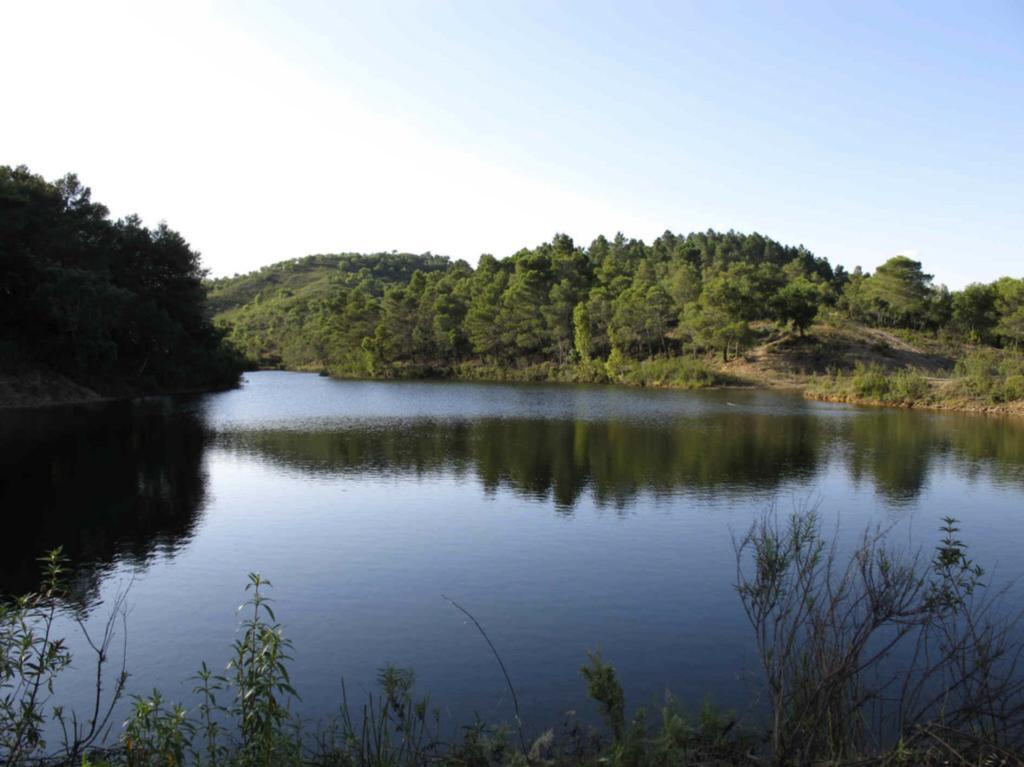 Quinta Do Freixo Villa Benafim Eksteriør billede